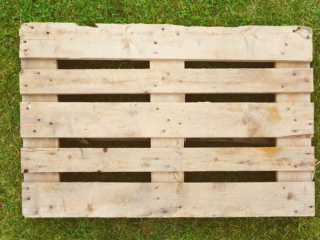 Palleguide
