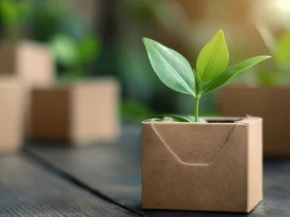 3 tips til mere bæredygtig emballage i 2025